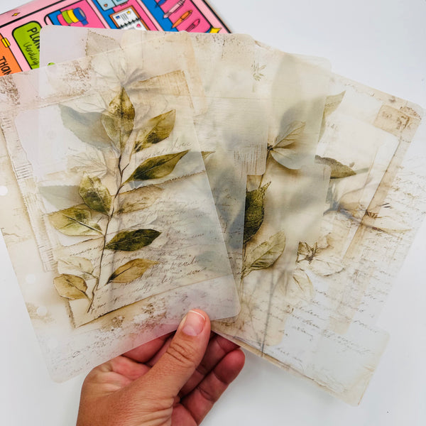 Vintage Botanical Printed Vellum Dividers